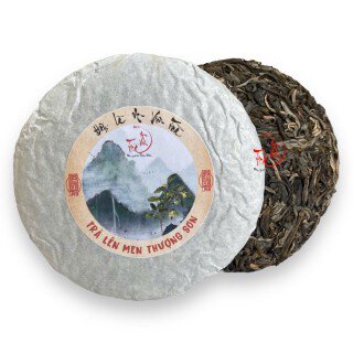 Bánh trà lên men Thượng Sơn 2024 - Trà Shan Tuyết Cổ Thụ 1 búp 2 lá Hà Giang